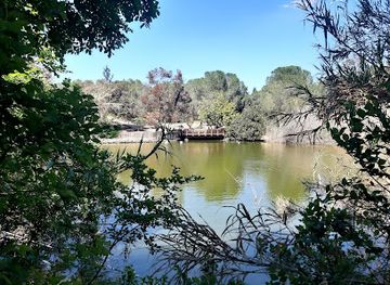 cyprus/machairas-forest/landmark/athalassa-national-forest-park