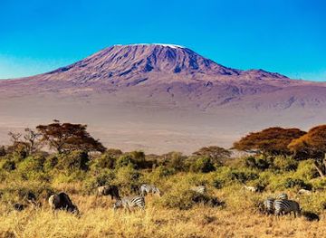 tanzania/kilimanjaro-region/landmark/tanzania-kizza-adventures-best-tanzania-wildebeest-migrations-safaris-zanzibar-tours-and-kilimanjaro-trekking-2024-2025