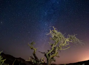 Arava Stars