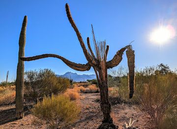arizona/apache-county/landmark/city-of-apache-junction-downtown-marker