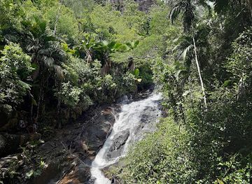 seychelles/ile-therese/landmark/port-glaud-waterfall