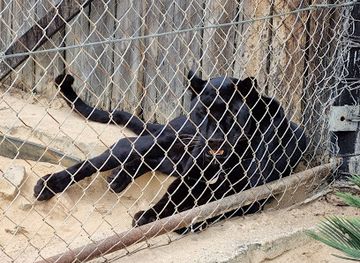 south-africa/waterberg/landmark/eventieria