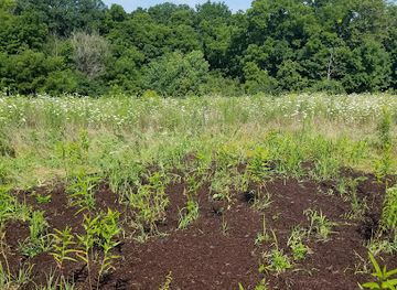 illinois/corn-belt/landmark/the-kendall-county-historical-society-lyon-farm