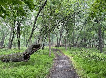 minnesota/big-woods/landmark/glendalough-state-park