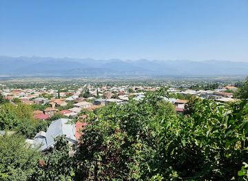 georgia/kakheti/landmark/telavi-historical-museum