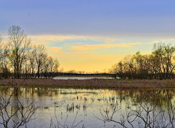 ohio/western-reserve/landmark/killdeer-plains-wildlife-area