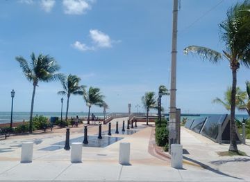 florida/key-west/landmark/indigenous-park