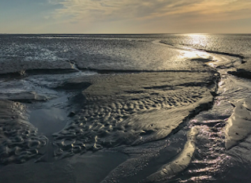 netherlands/wadden-islands/landmark/waddenvereniging