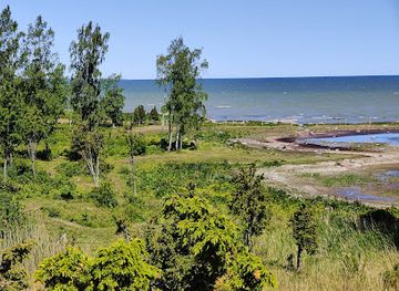 estonia/saaremaa/landmark/uugu-cliff