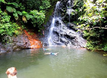 belize/cockscomb-basin-wildlife-sanctuary/landmark/cockscomb-basin-wildlife-sanctuary-day-night-hiking-guide