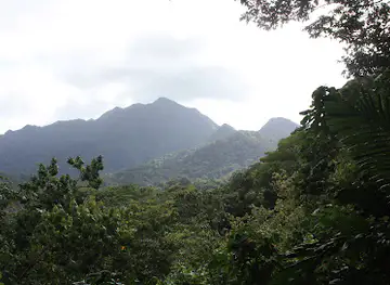 Millet bird sanctuary and nature trail