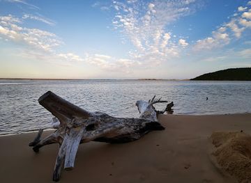 south-africa/elephant-coast/landmark/safari-and-surf