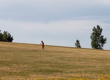 Ingalls Homestead