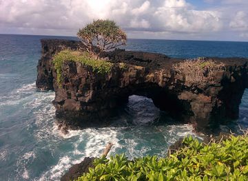 samoa/piula-cave-pool/landmark/o-le-pupu-pue-national-park