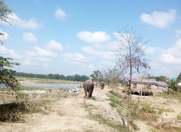 nepal/chitwan/landmark/the-chitwan-jungle-guides-crazy-tiger-s-trek-tours