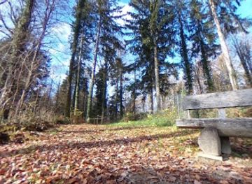 switzerland/western-switzerland/landmark/vue-des-alpes