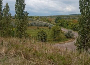 moldova/guranda-mountain/landmark/suta-de-movile