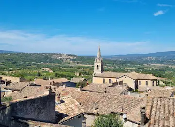 Forêt des cèdres du Luberon