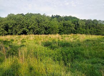 minnesota/mankato/landmark/rasmussen-woods