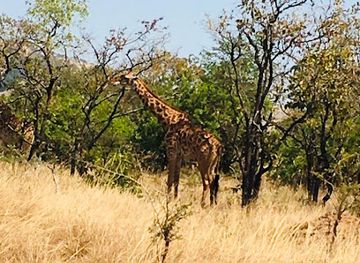 rwanda/kigali-province/landmark/visit-thousand-hills