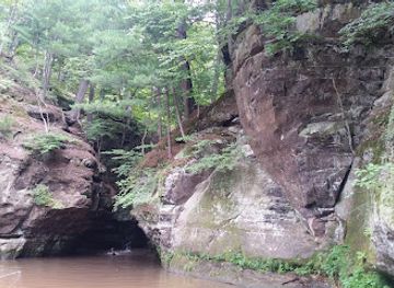 Pewit's Nest