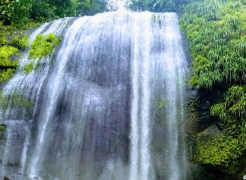 saint-lucia/dauphin/landmark/treetop-adventure-park