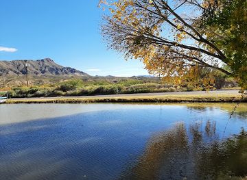 new-mexico/truth-or-consequences/landmark/carole-wheeler-dog-park