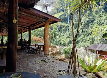 indonesia/bukit-lawang/landmark/back-to-nature-ecotourism