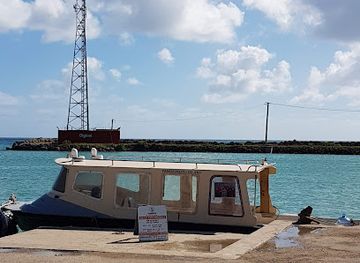 tonga/niuatoputapu/landmark/whale-swim-dive-tours