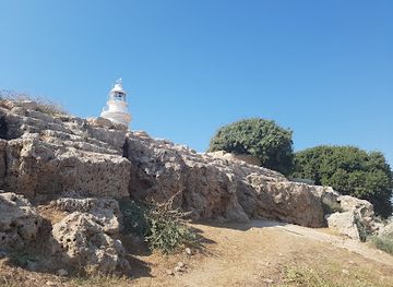 cyprus/paphos-forest/landmark/roman-odeon