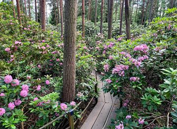 finland/helsinki-archipelago/landmark/haaga-rhododendron-park