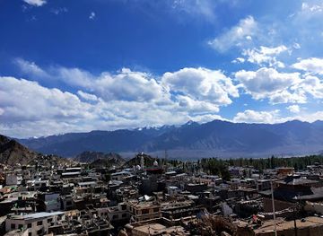 india/leh/landmark/ladakh-arts-and-media-organisation