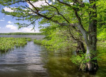 arkansas/lower-delta/landmark/wapanocca-national-wildlife-refuge