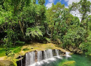 vanuatu/shefa/landmark/eden-on-the-river