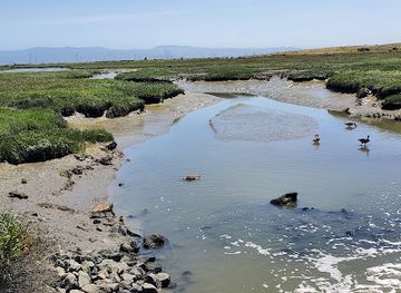 california/palo-alto/landmark/palo-alto-restoration-area