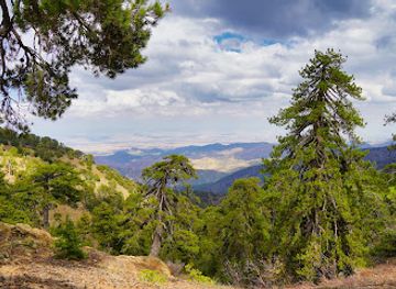 cyprus/troodos-national-forest-park/landmark/atalanti-nature-trail-loop
