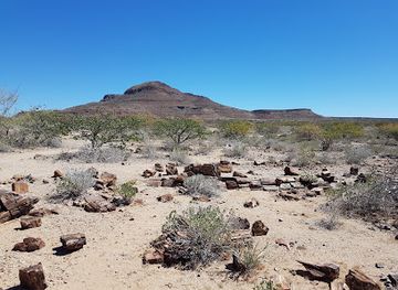 namibia/damaraland/landmark/petrified-forest