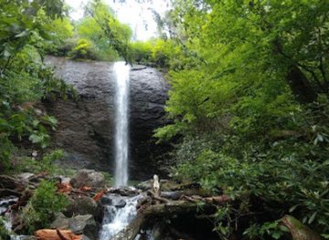 north-carolina/pisgah-national-forest/landmark/douglas-falls