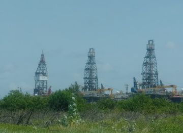 texas/port-aransas/landmark/joan-and-scott-holt-paradise-pond