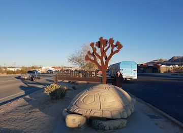 california/joshua-tree/landmark/joshua-tree-laundry