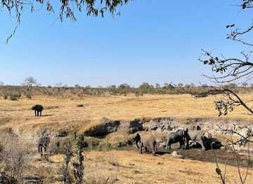 zimbabwe/hwange/landmark/hwange-safaris