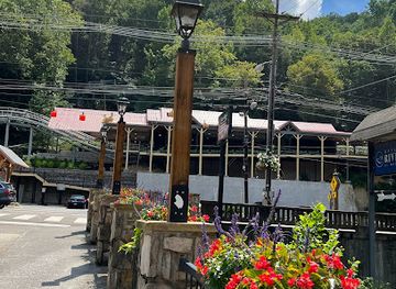 tennessee/gatlinburg/landmark/moonshine-mountain-coaster