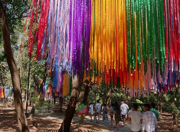 india/panaji/campal/landmark/the-art-park-campal