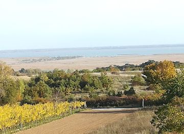 austria/burgenland/landmark/thenau-nature-reserve
