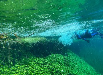 australia/limestone-coast/landmark/ewens-ponds