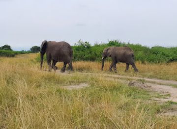 uganda/bukedi/landmark/ameera-africa-safaris-uganda-tours-uganda-safari-holidays-uganda-safaris-and-tours-uganda-safari-company