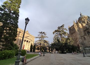 spain/salamanca/landmark/plaza-de-anaya