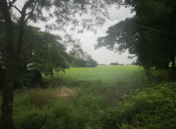 myanmar-burma/bago-region/landmark/bago-river