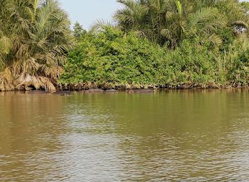 the-gambia/central-river-region/landmark/baboon-island