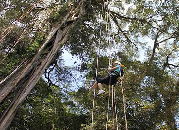 costa-rica/monteverde-cloud-forest/landmark/treetop-climbing-monteverde